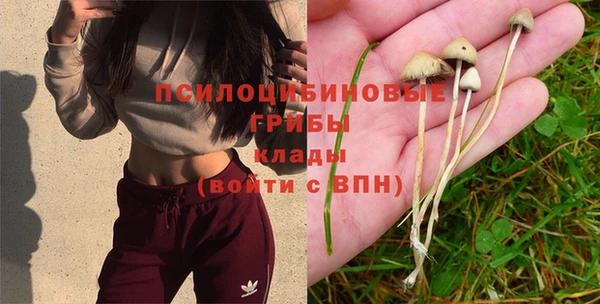 ешки Баксан