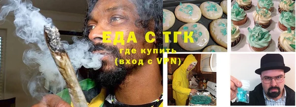 индика Протвино