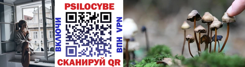 дарнет шоп Вуктыл Галлюциногенные грибы ЛСД
